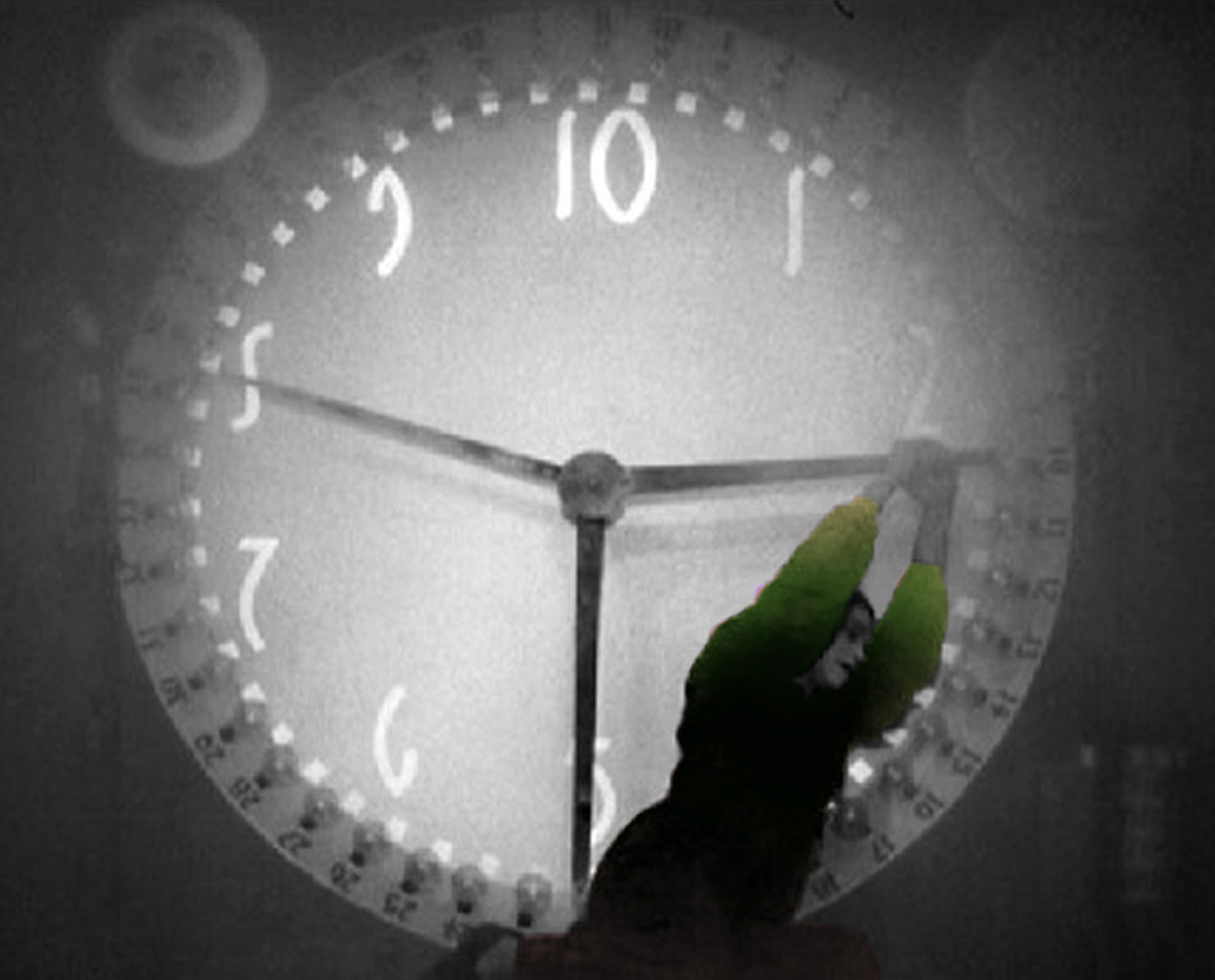 Clocked Off | TCL