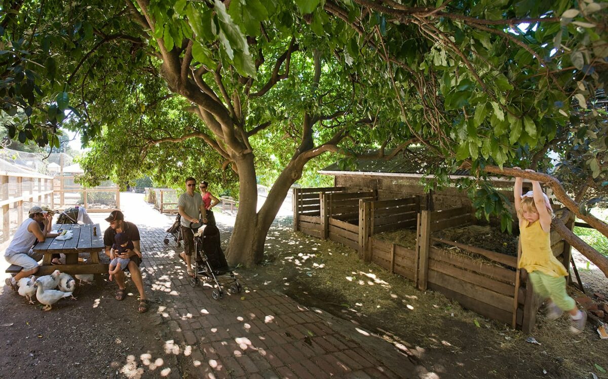 Collingwood Children's Farm TCL