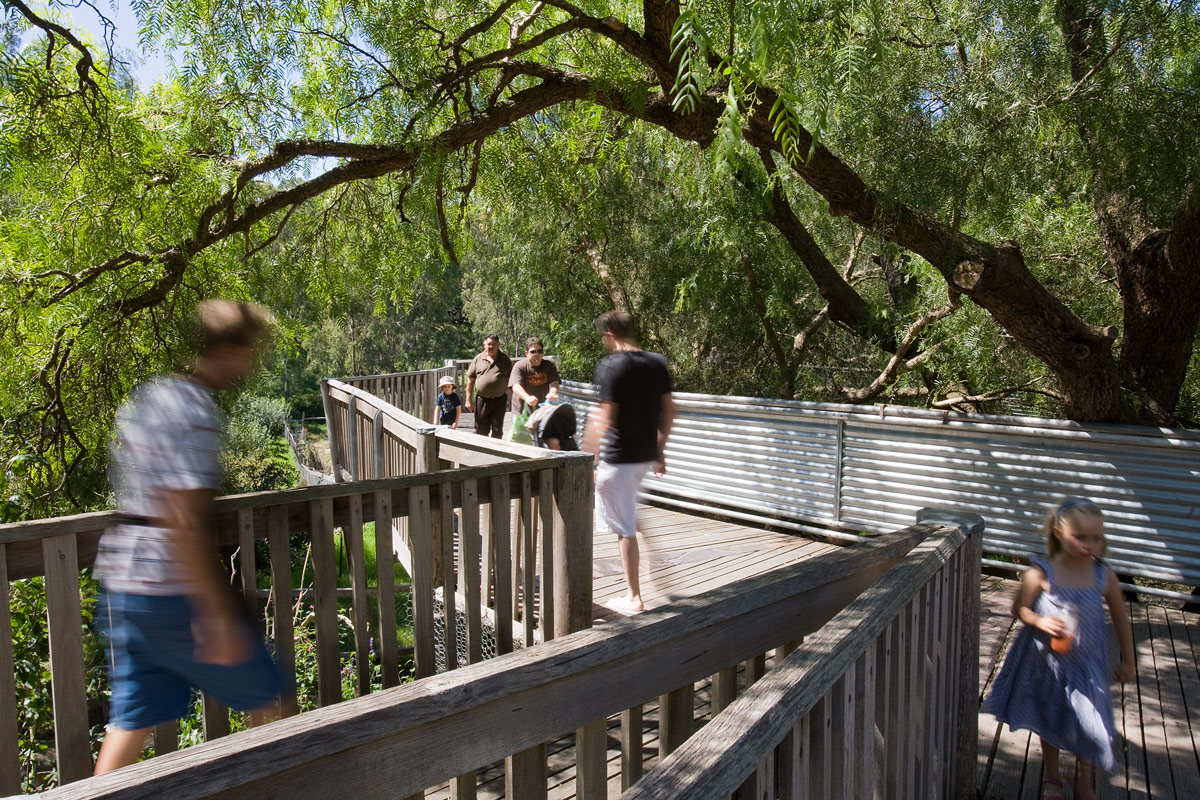 Collingwood Children's Farm 