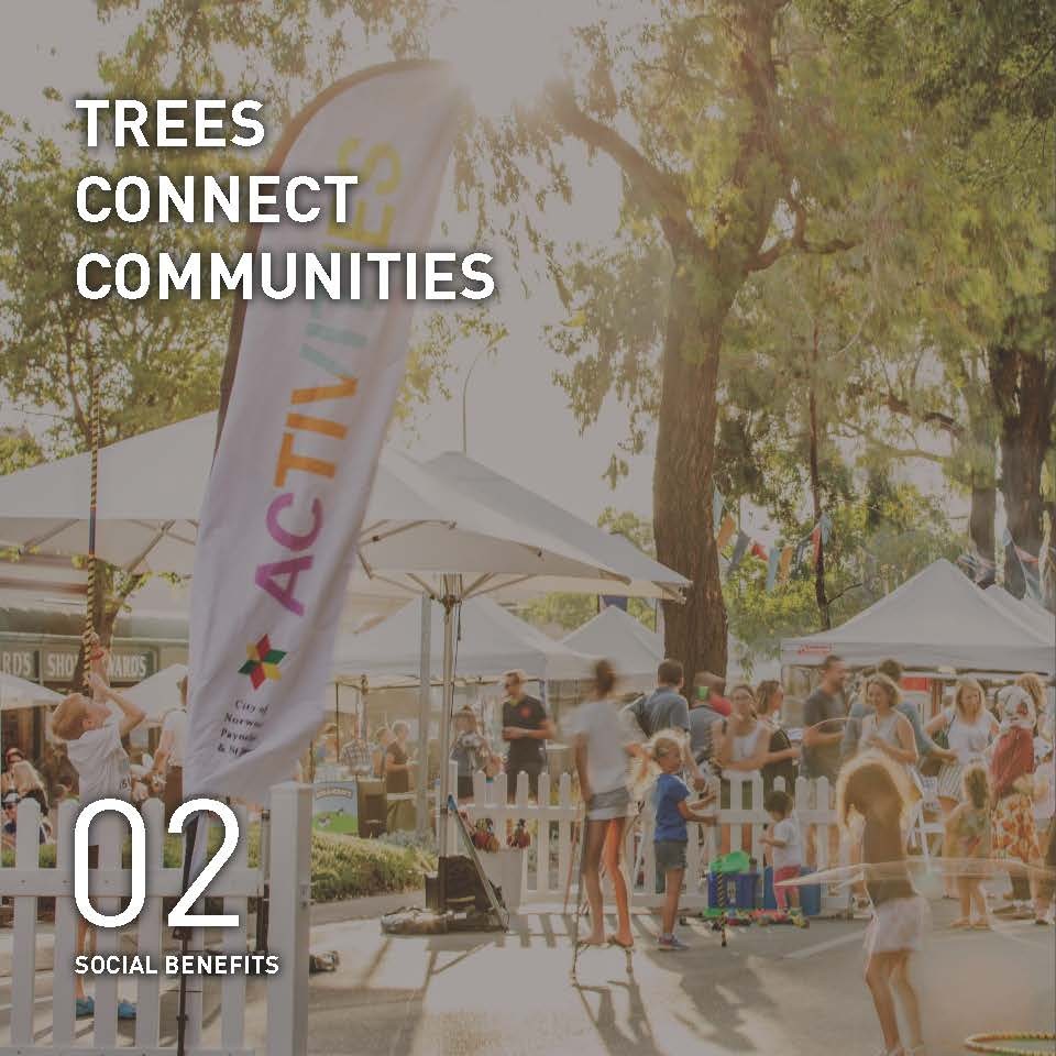 TiCkLe booklet - A Case for Trees | TCL