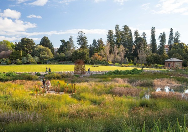 Adelaide Botanic Gardens Wetland