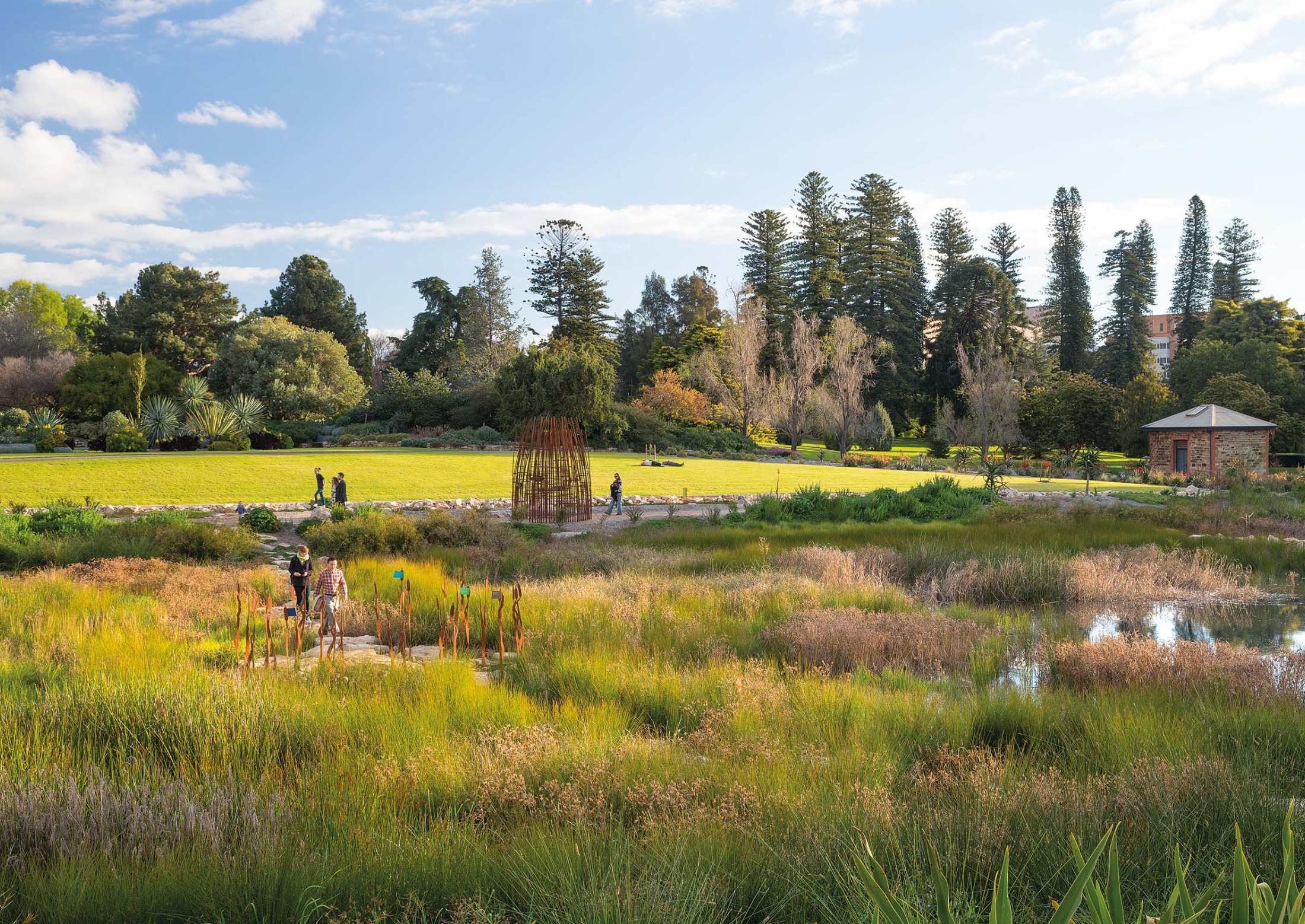 Adelaide Botanic Gardens Wetland