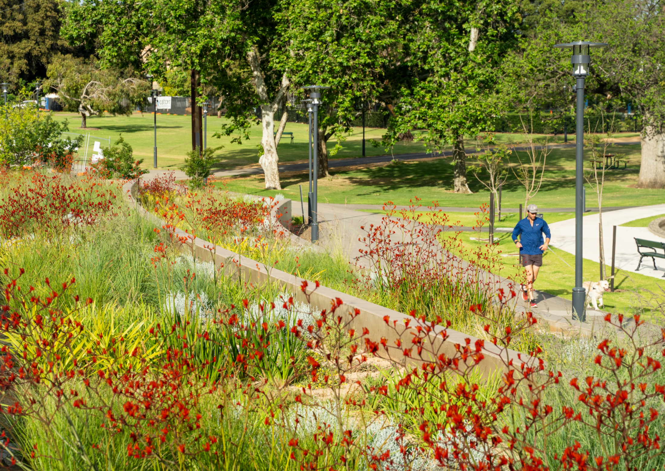 Rymill Park / Murlawirrapurka