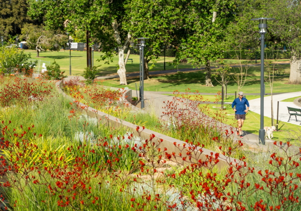 Rymill Park / Murlawirrapurka