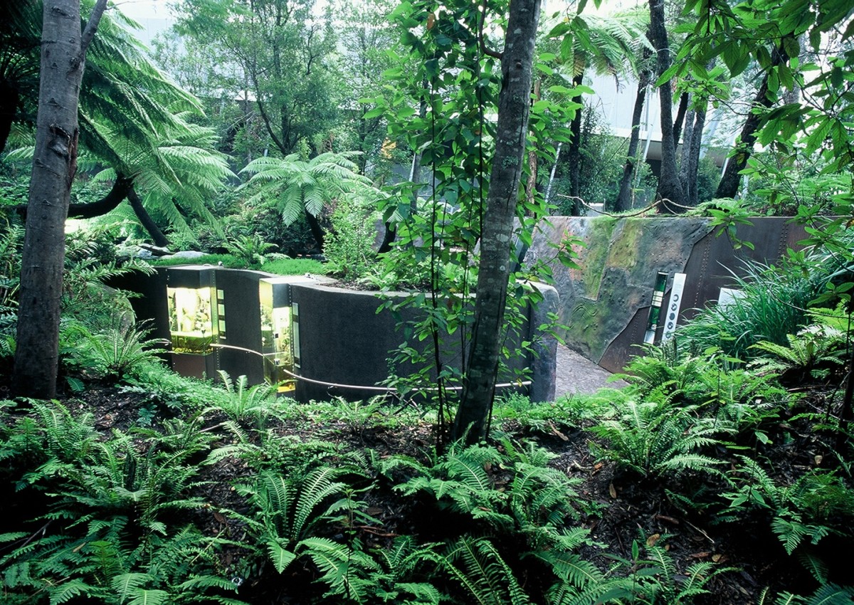 20+ Years – Forest Gallery