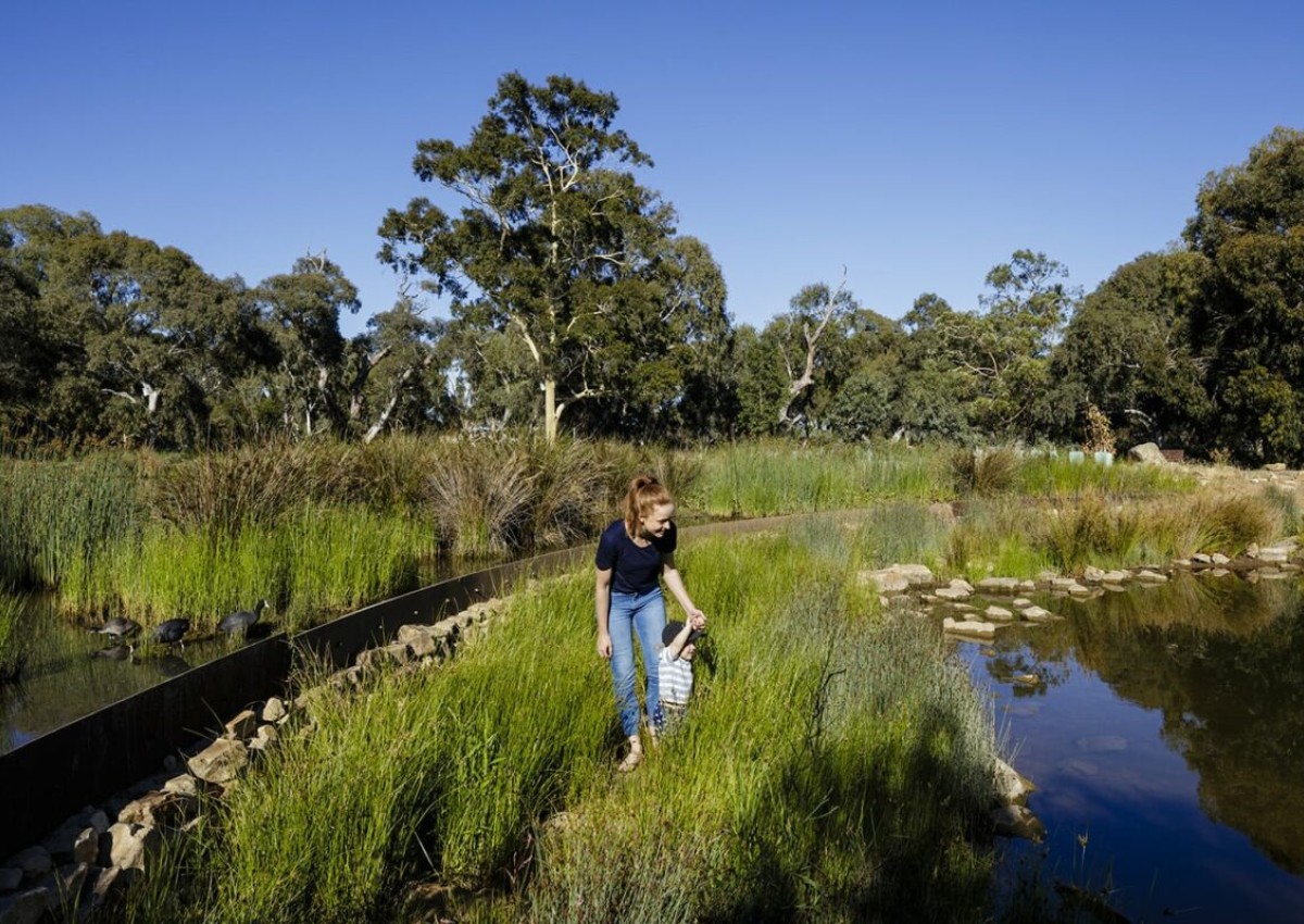 Oaklands Park and Wetland wins AILA Award of Excellence