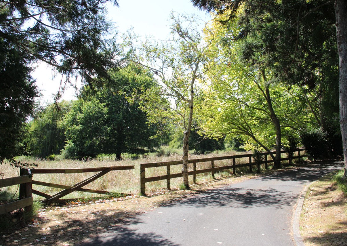 Rotokauri North masterplan: Embedding landscape values at the outset 