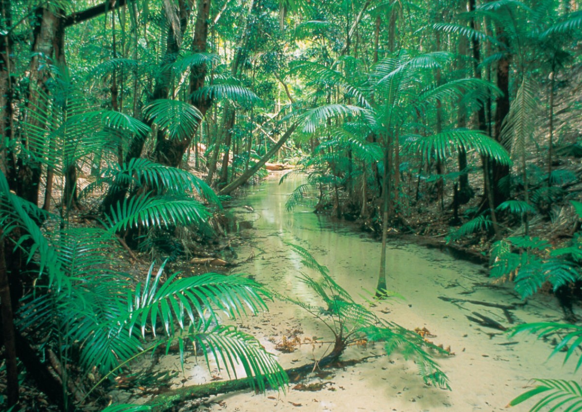 TCL to develop master plan for Central Station on K'gari (Fraser Island)