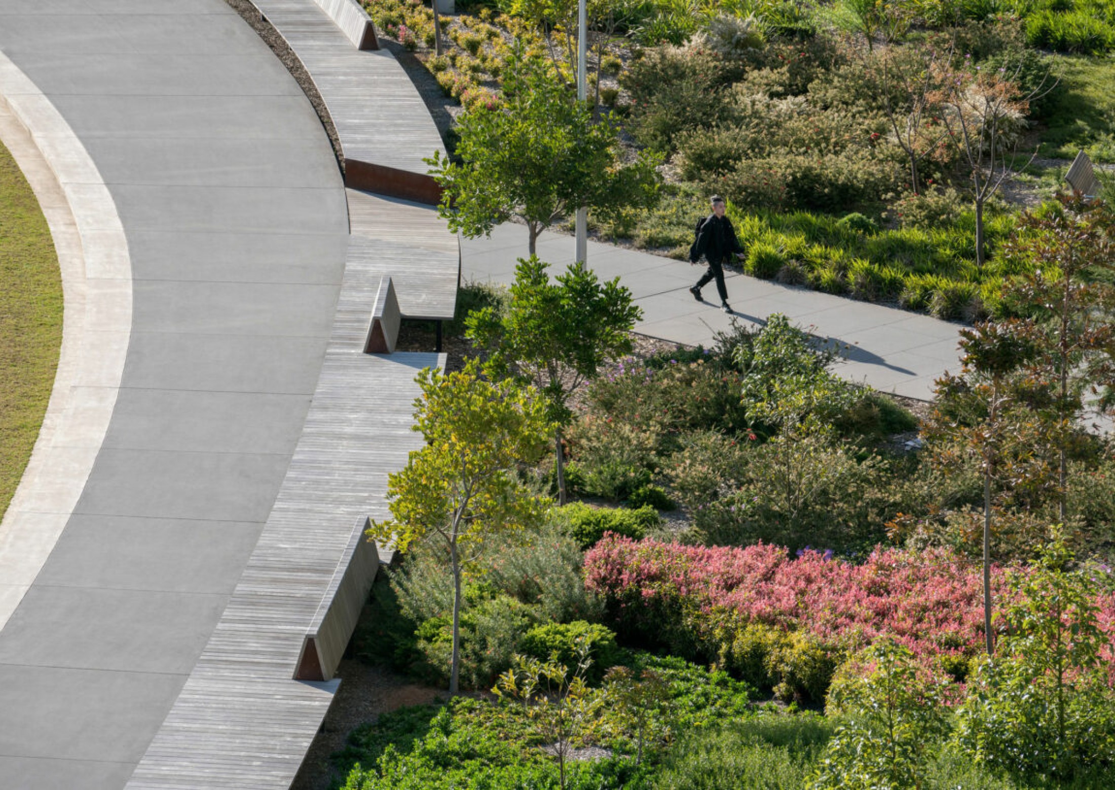 Monash University Clayton Campus Eastern Precinct Landscape