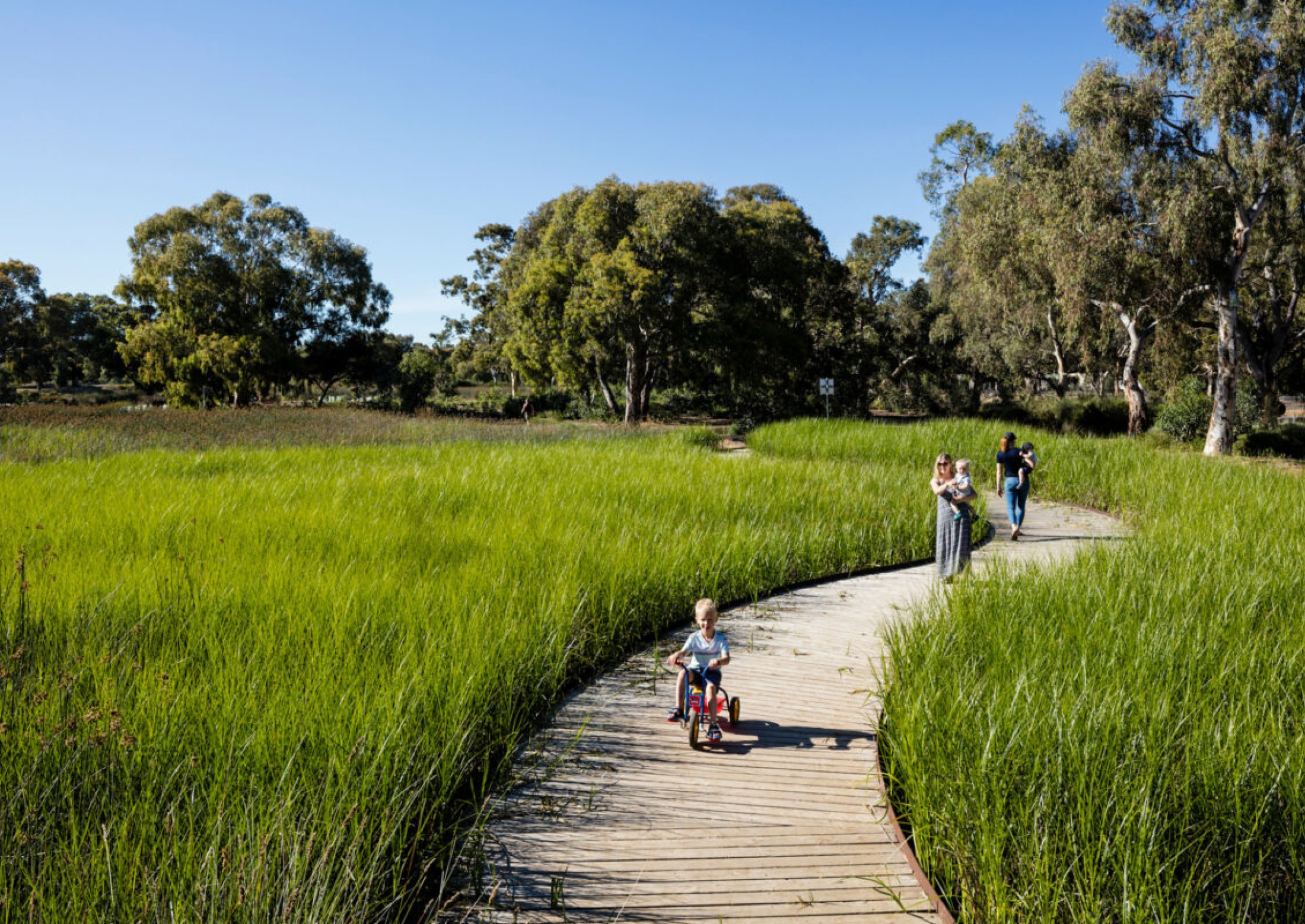 Oaklands Park and Wetland