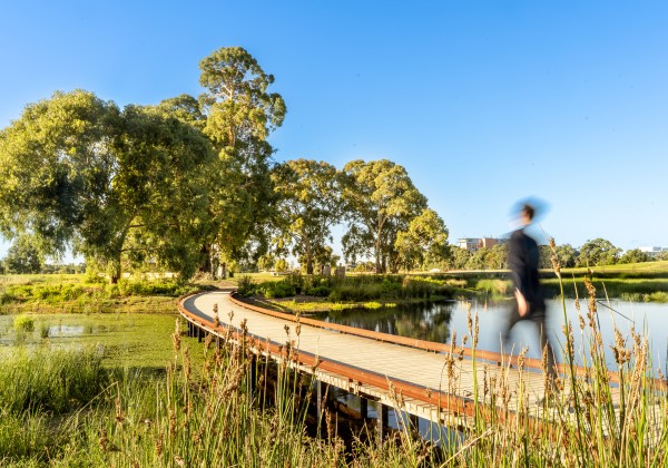 South Parklands Wetlands