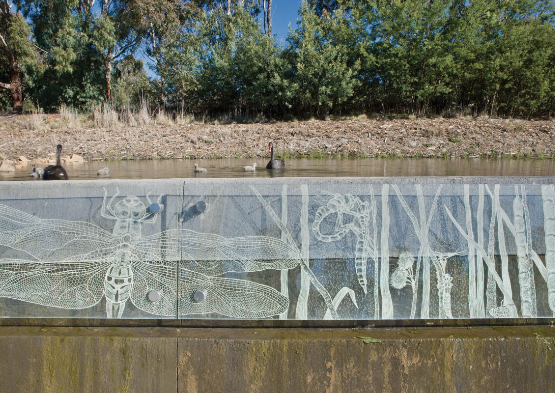 Tidbinbilla Nature Reserve